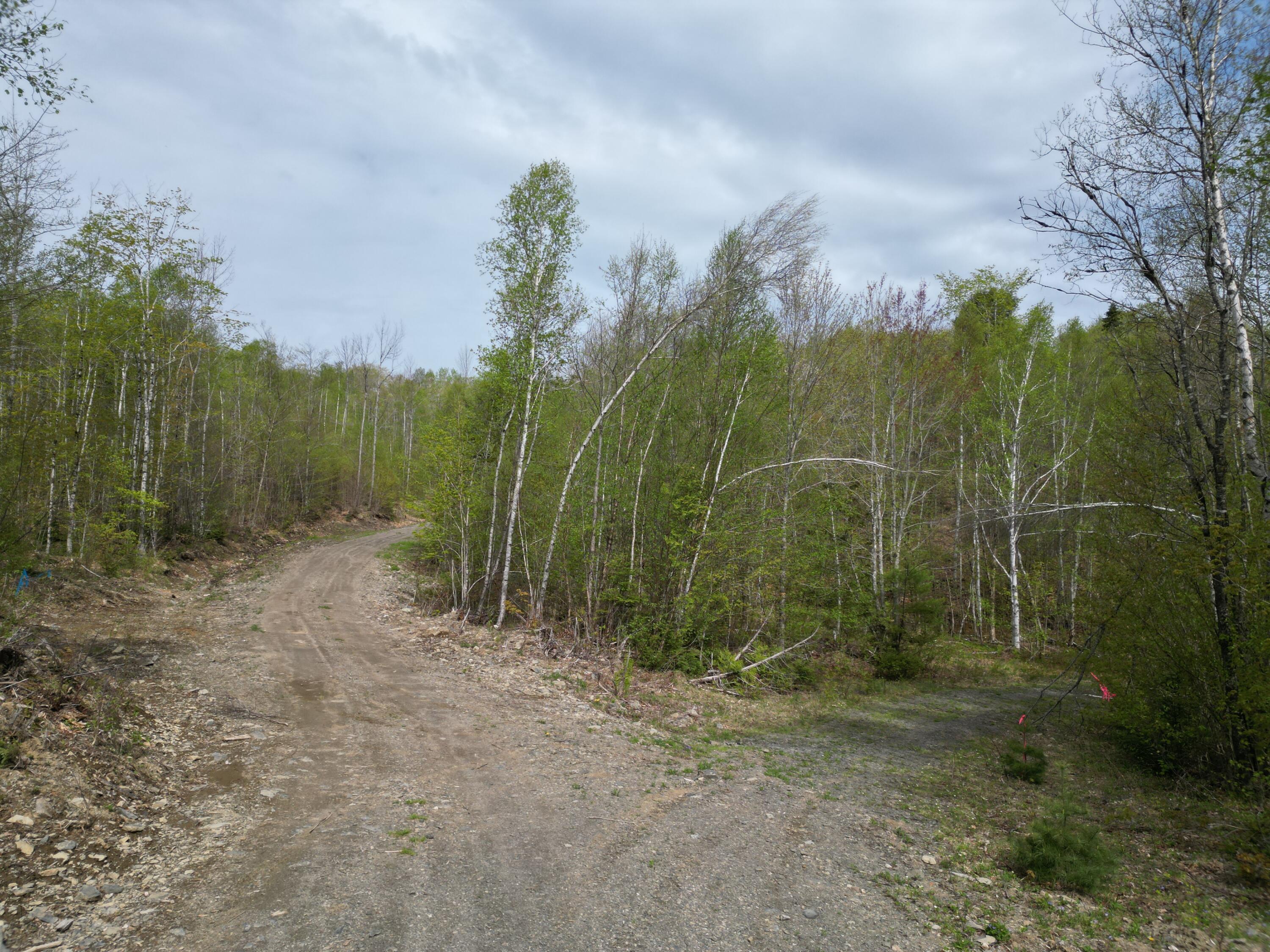 Lot 9 W Road Brewer, ME 04412 - Photo 11 of 12 DJI_0444