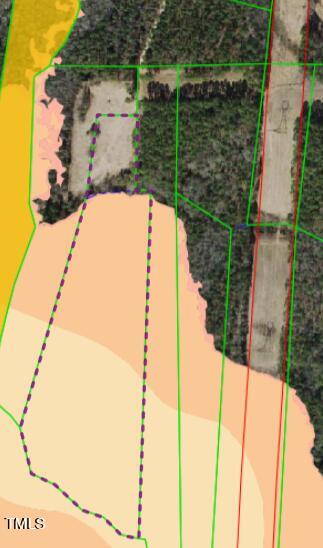 37 B Old Fairground Road Angier, NC 27501 - Photo 6 of 11 20 acres with flood hazard enlarged