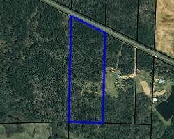 0 State Highway Clio, AL 36017 - Photo 1 of 3