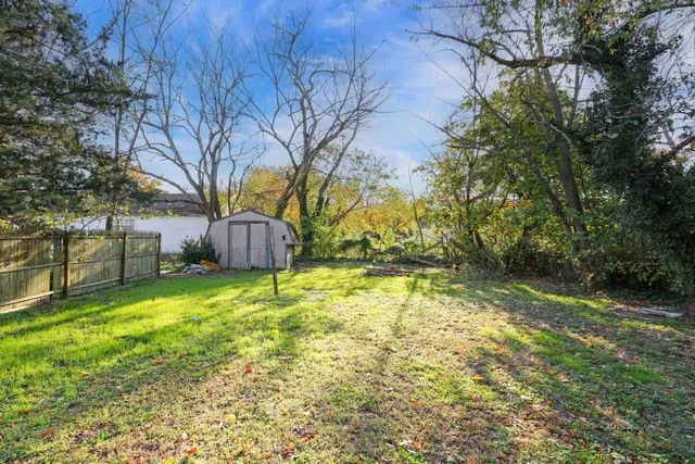 a view of backyard with tree