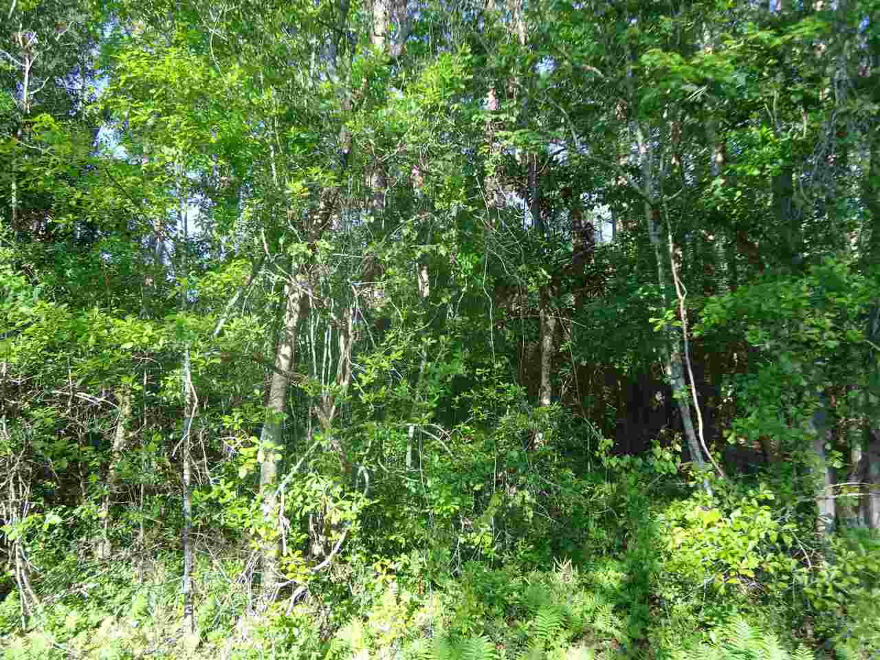 0 Hammock Road Elberta, AL 36530 - Photo 13 of 15