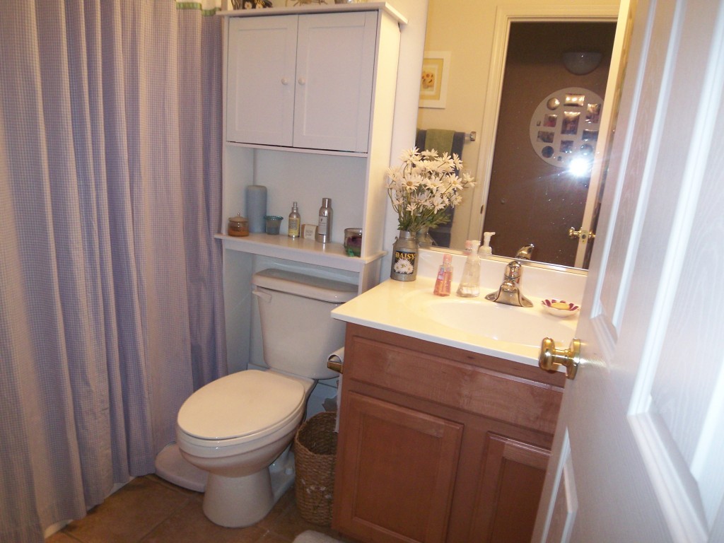 14824 West Redfield Road Surprise, AZ 85379 - Photo 8 of 16 bath