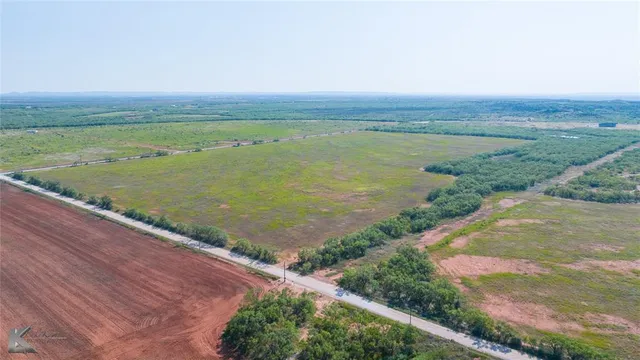 a view of a yard with potted plants