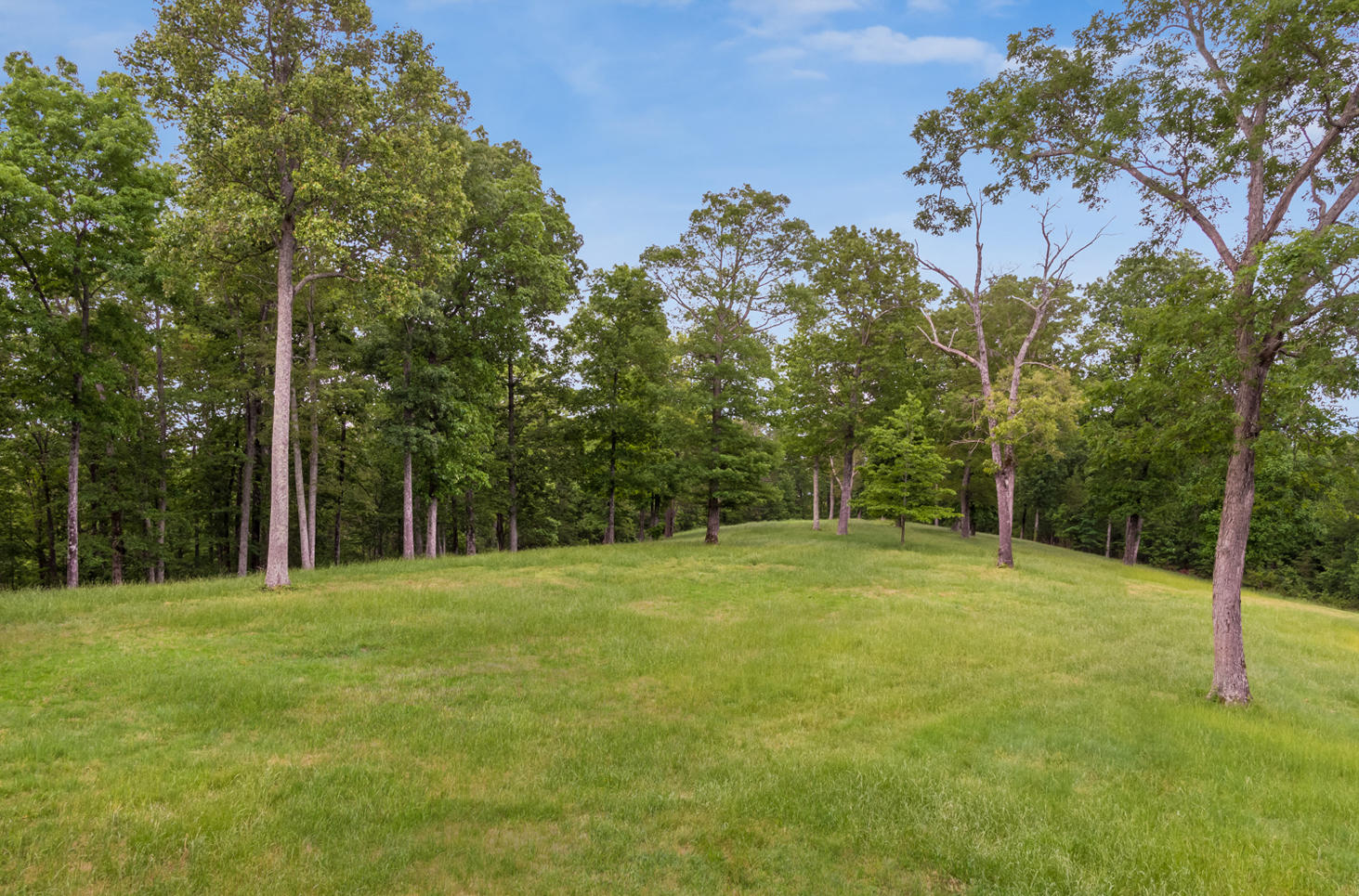 6642 Gray Fryar Road Signal Mountain, TN 37377 - Photo 32 of 91 6620_Gray_Fryar_Rd_15 edited