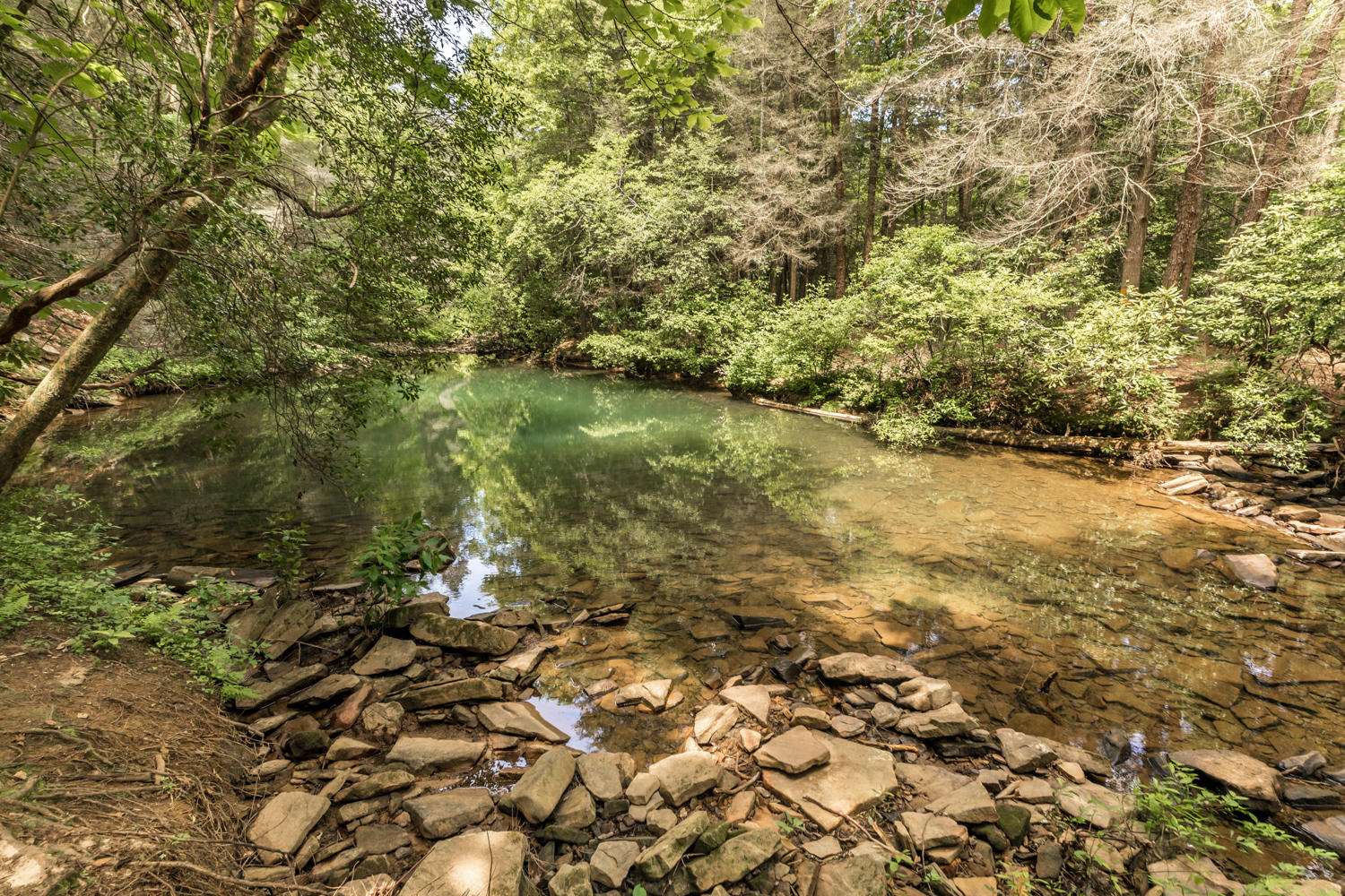 6642 Gray Fryar Road Signal Mountain, TN 37377 - Photo 89 of 91 6620_Gray_Fryar_Rd_105