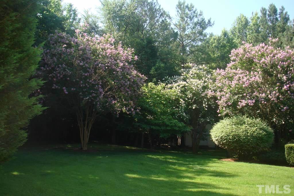 11800 Pembridge Lane Raleigh, NC 27613 - Photo 22 of 25 a backyard of a house with lots of green space and trees