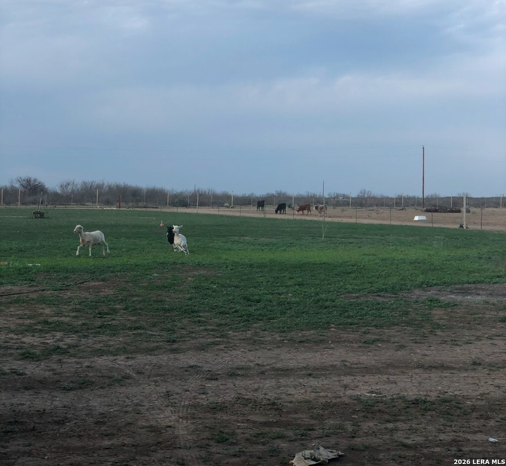 522 Sleeping Spg Road Eagle Pass, TX 78852 - Photo 5 of 6