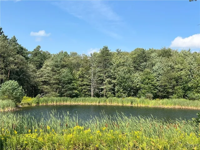 $399,000 | 1467 Lick Street, Summerhill, NY 13118