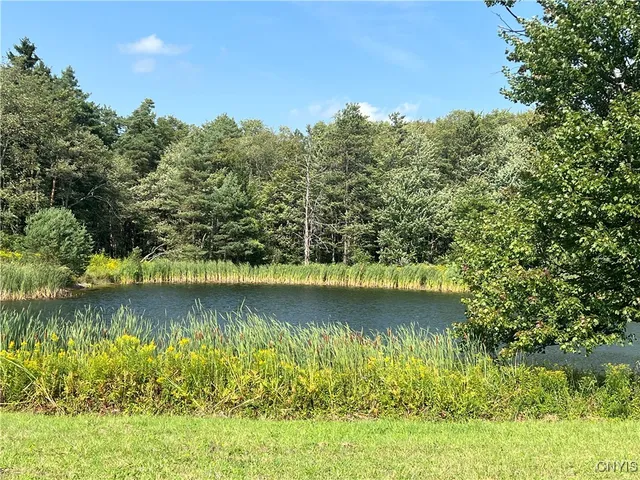 $399,000 | 1467 Lick Street, Summerhill, NY 13118