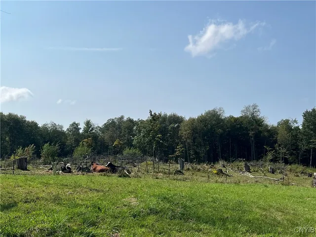 $399,000 | 1467 Lick Street, Summerhill, NY 13118