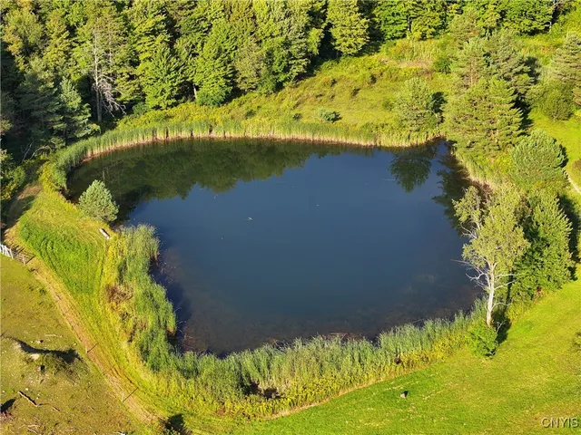 $399,000 | 1467 Lick Street, Summerhill, NY 13118