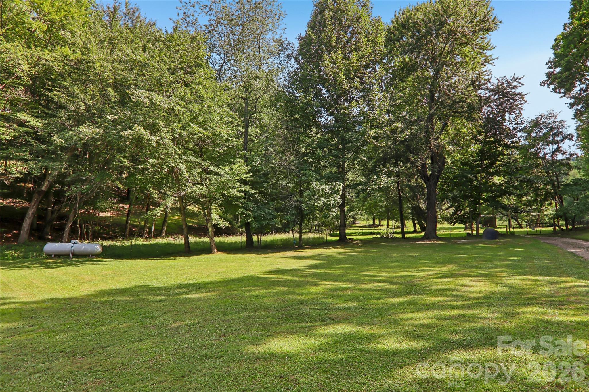 611 Reeves Cove Road Candler, NC 28715 - Photo 39 of 44