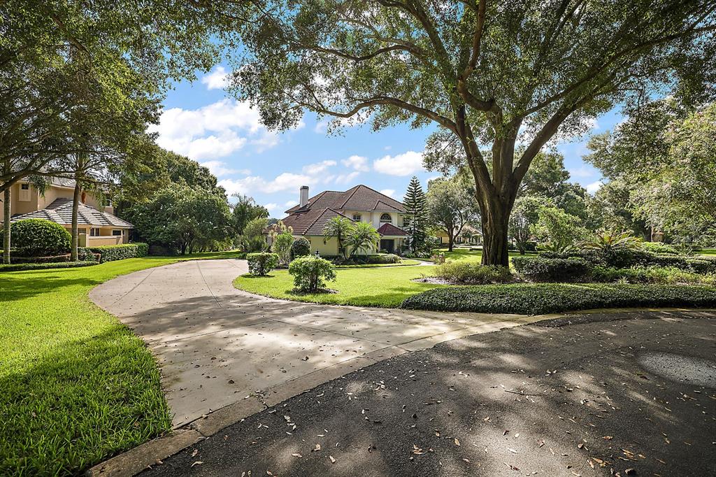 2701 Regal Point Place Eustis, FL 32726 - Photo 13 of 53 a view of a yard with plants and large trees