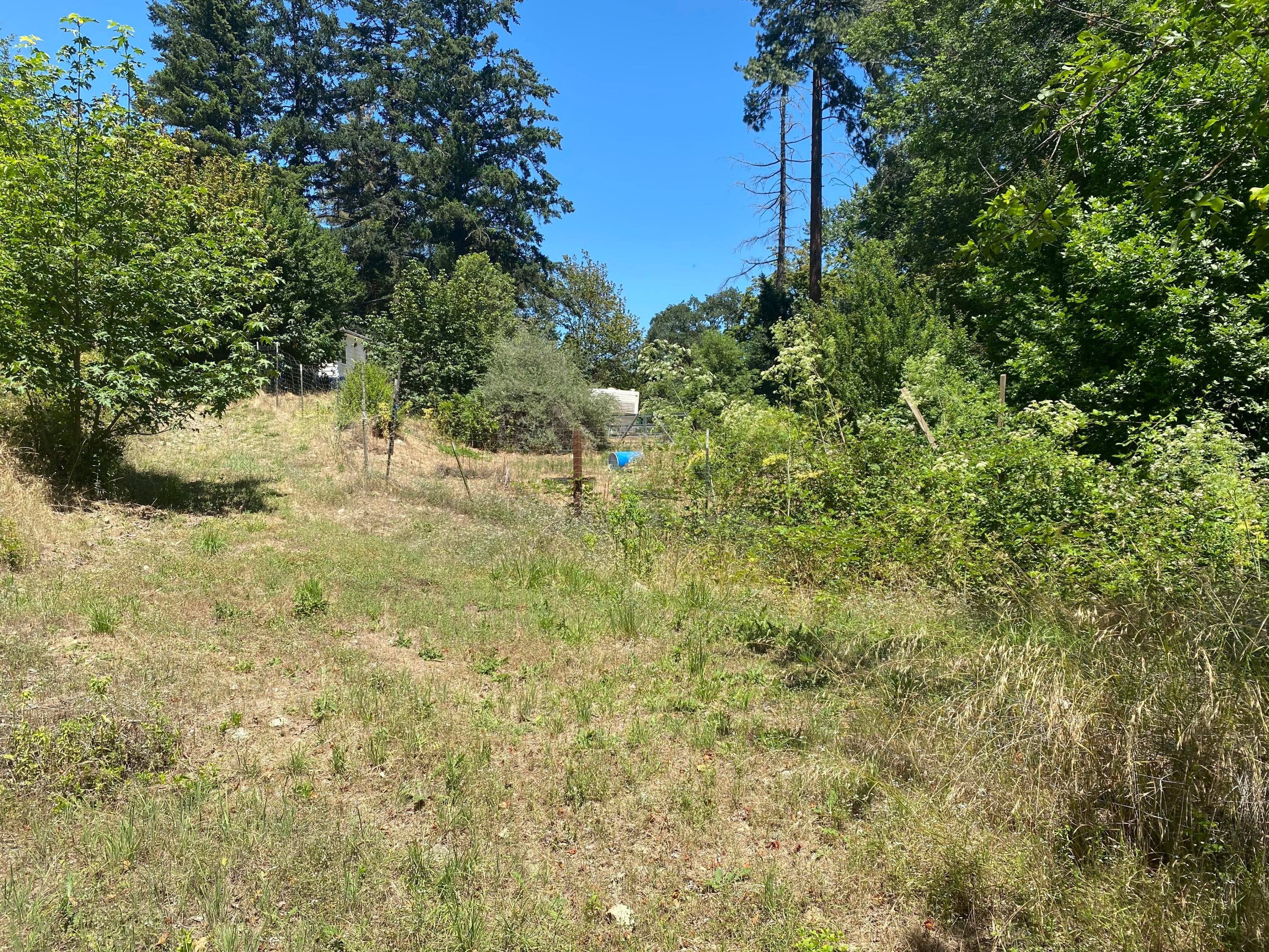 4311 Thompson Creek Road Jacksonville, OR 97530 - Photo 6 of 9 p1NDTME7SRCg08EnusEOfQ