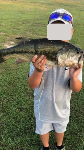 $650,000 | 4171 Maud Tx 75567, Maud, TX 75567