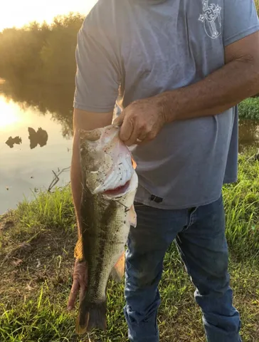 $650,000 | 4171 Maud Tx 75567, Maud, TX 75567