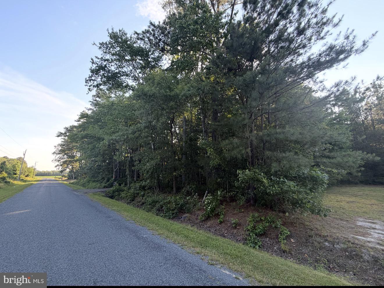 0 Anderson Road Princess Anne, MD 21853 - Photo 26 of 27
