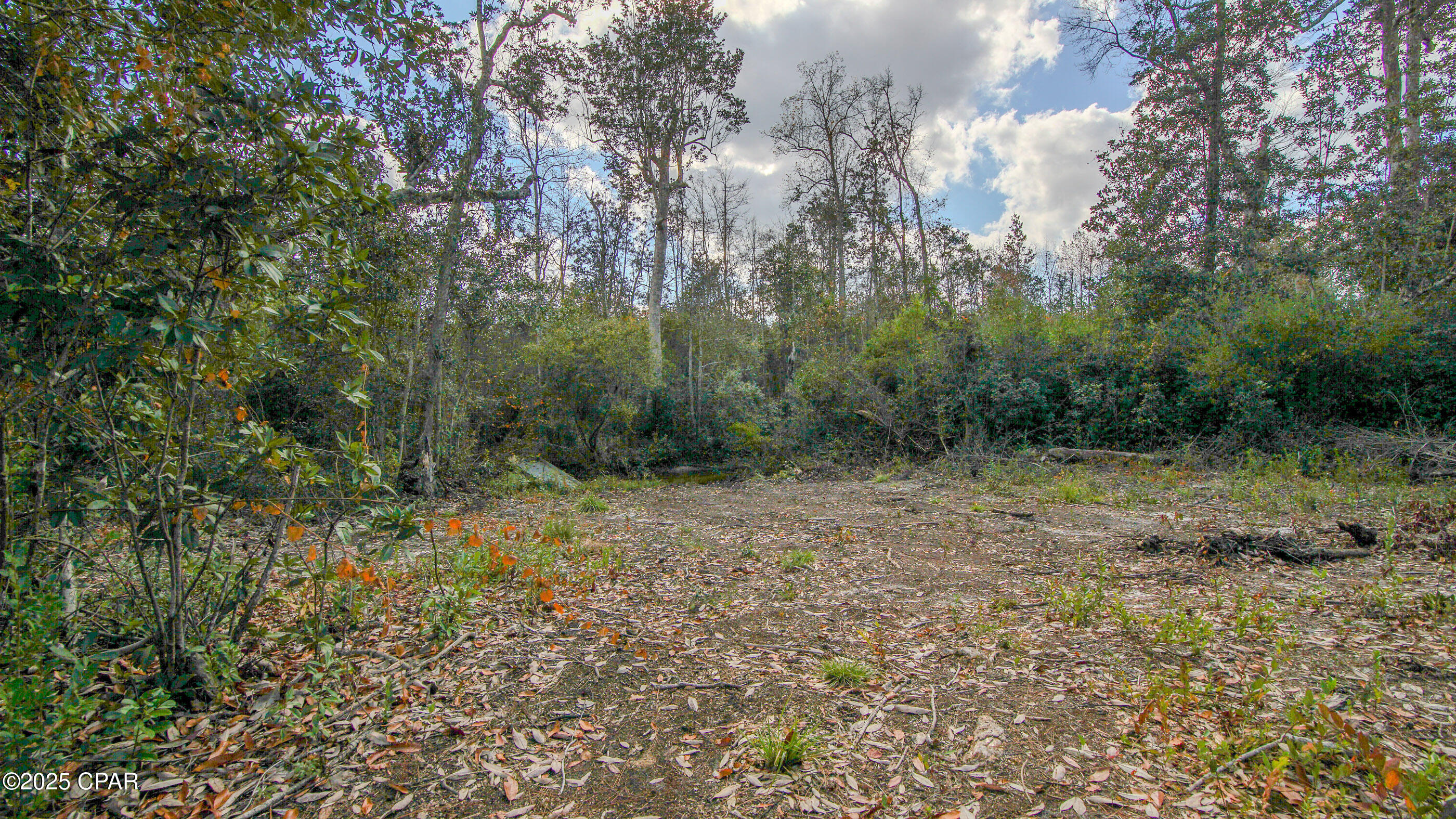 12299 Nona Wood Road Fountain, FL 32438 - Photo 5 of 21