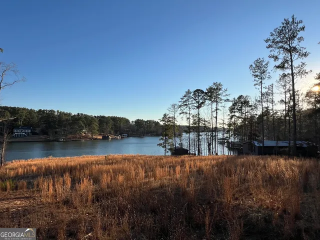 $295,000 | Lot 4 Sugar Bear Road, Sparta, GA 31087