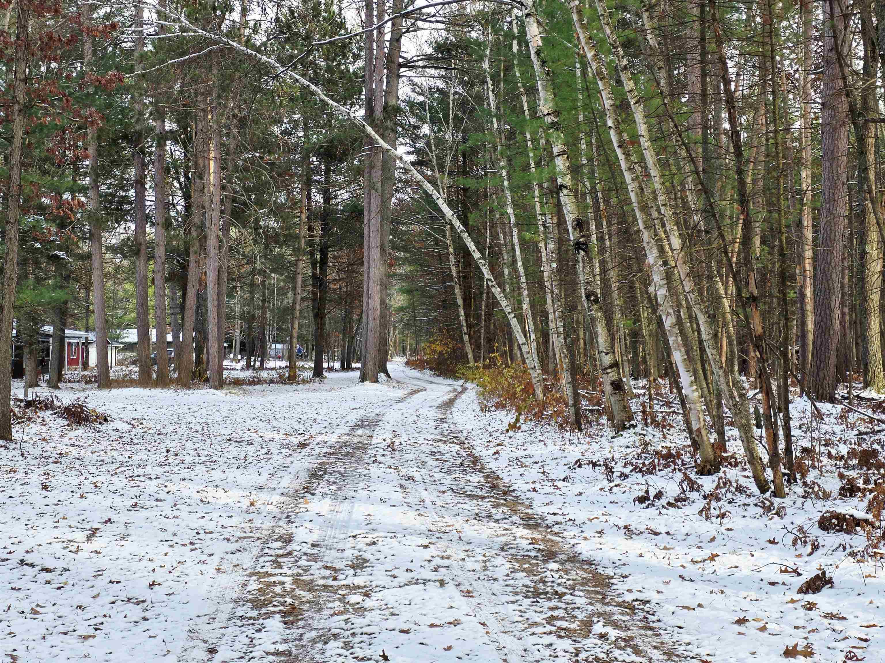 Lot 18 Kingsley Road Grayling, MI 49738 - Photo 5 of 15 1940505-235b0434-0fbb-4715-86d6-f914dca8615e.JPG