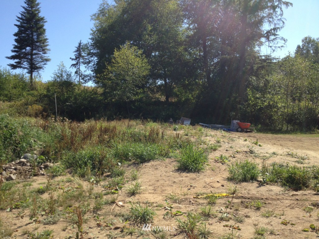 1868 Watkins Road Freeland, WA 98249 - Photo 3 of 4