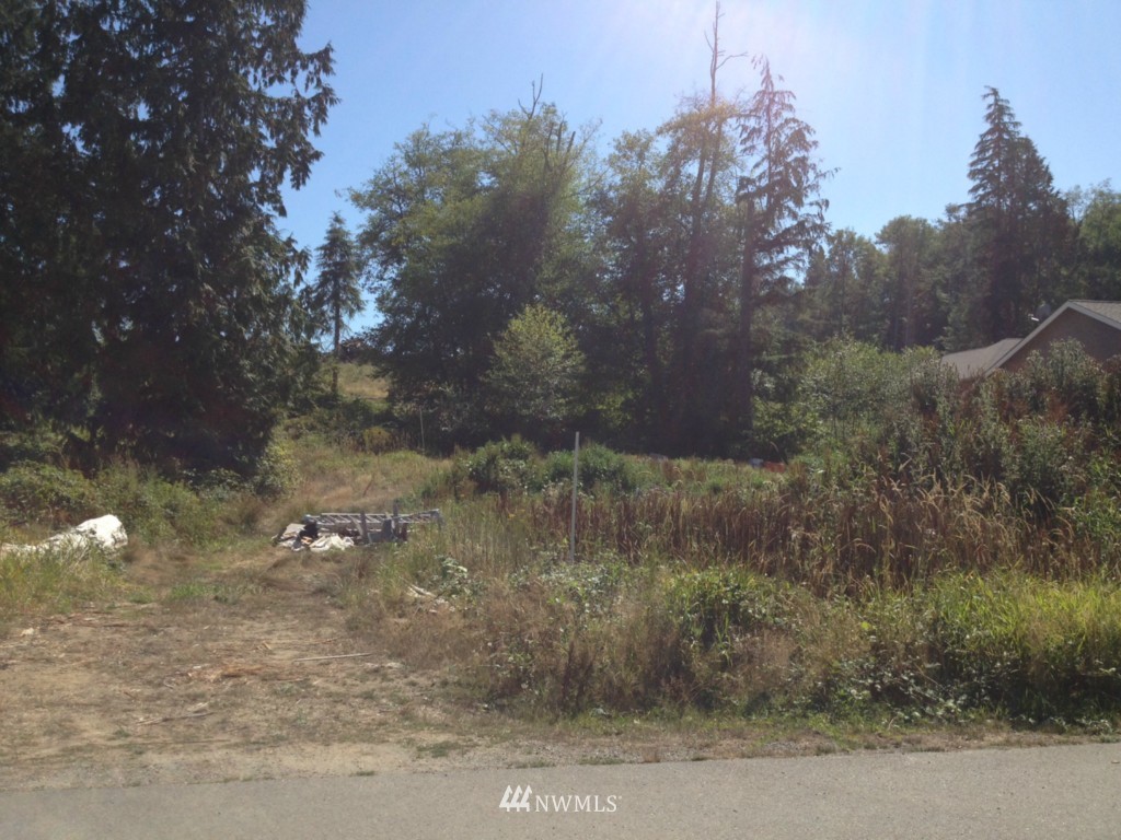 1868 Watkins Road Freeland, WA 98249 - Photo 4 of 4