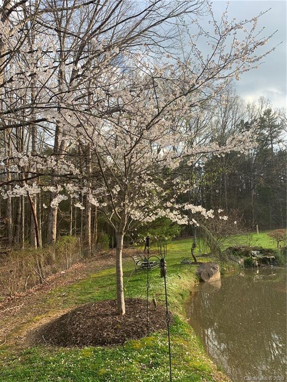 520 Bethel School Road Clover, SC 29710 - Photo 39 of 44 Gallery Image 39