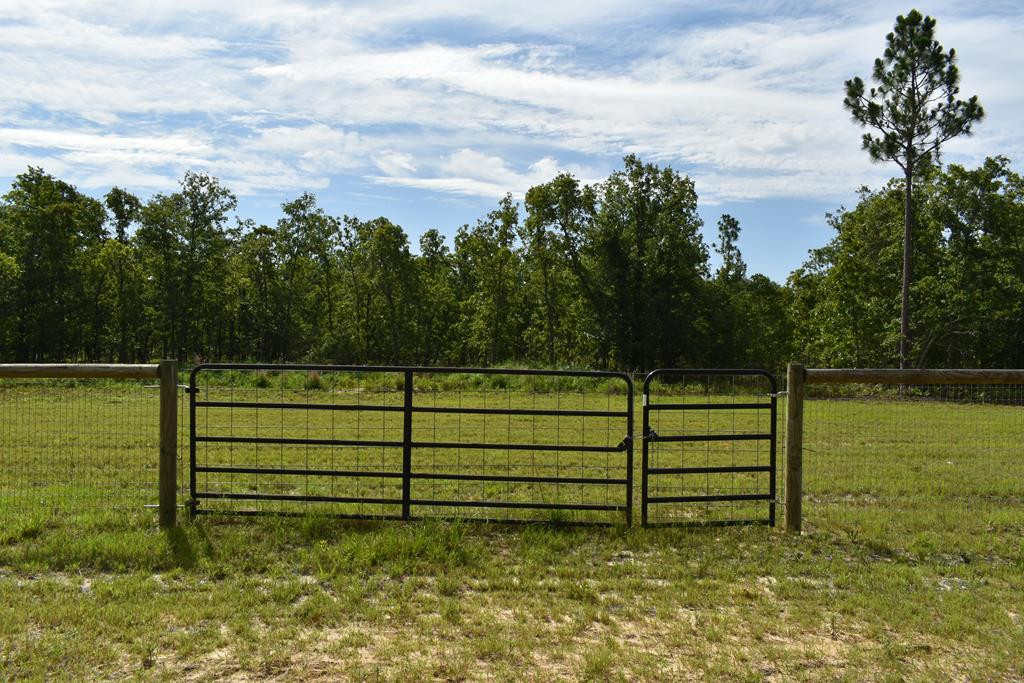 Lot 2 Centerwood Road Windsor, SC 29856 - Photo 4 of 5