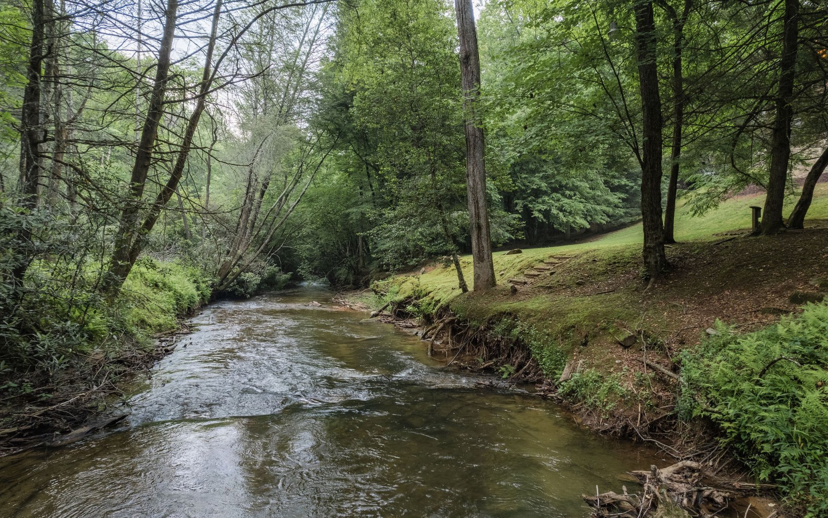 292 Bear Foot Drive Blue Ridge, GA 30513 - Photo 3 of 42 Additional View