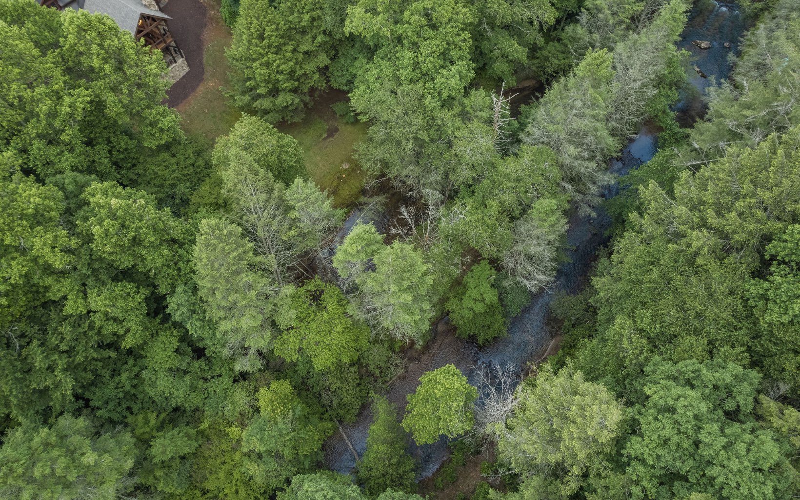 292 Bear Foot Drive Blue Ridge, GA 30513 - Photo 35 of 42 Additional View