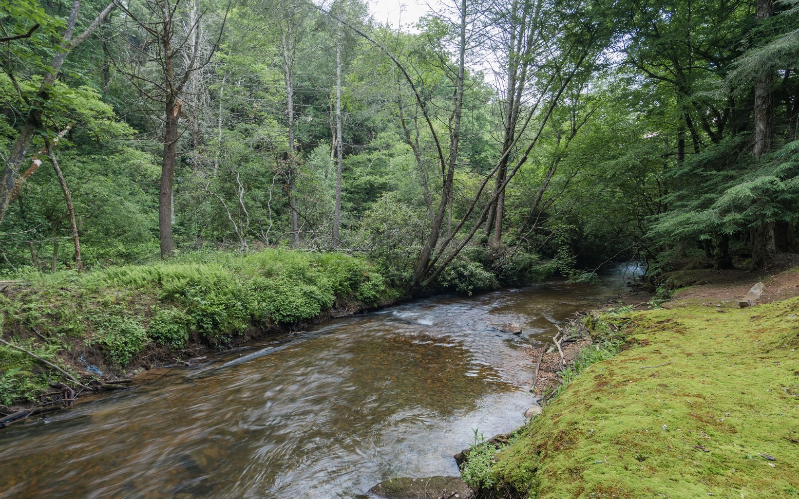 292 Bear Foot Drive Blue Ridge, GA 30513 - Photo 41 of 42 Additional View