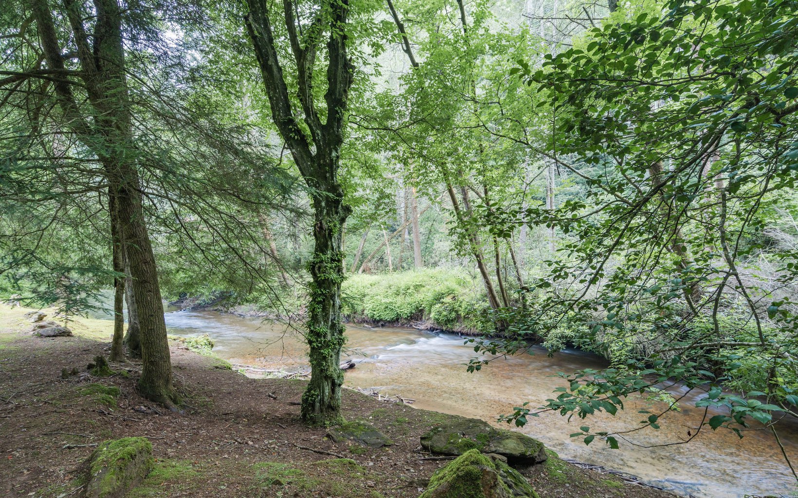 292 Bear Foot Drive Blue Ridge, GA 30513 - Photo 42 of 42 Additional View