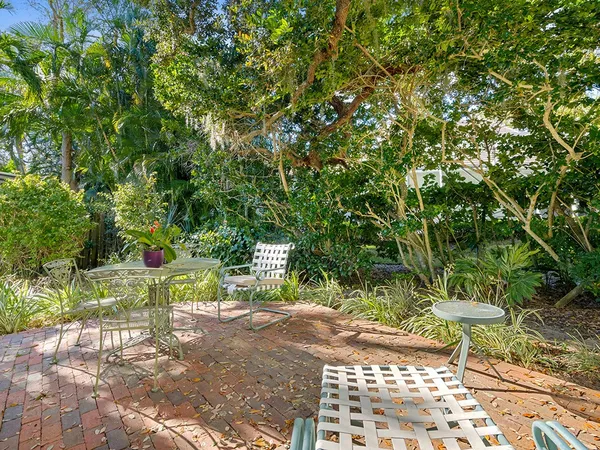 a view of a backyard with large trees