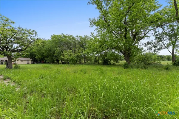 a green field with lots of bushes