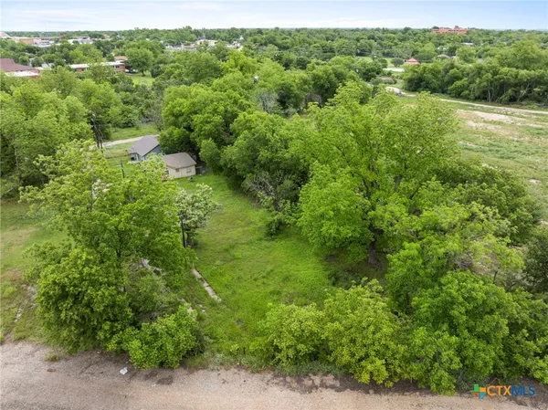 a view of a lush green forest with trees and some houses