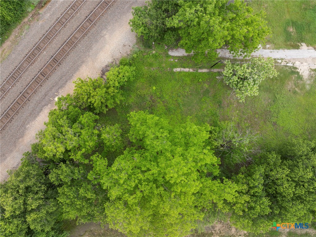 519 South 10th Street Temple, TX 76501 - Photo 4 of 8 a view of a garden