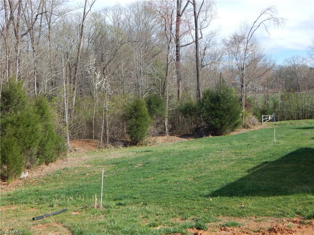 2123 Waterford Pointe Road Lexington, NC 27292 - Photo 19 of 24 Open and wooded common area along the back of the property. Gate to the right shows the convenience of on-site boat storage at end of street.
