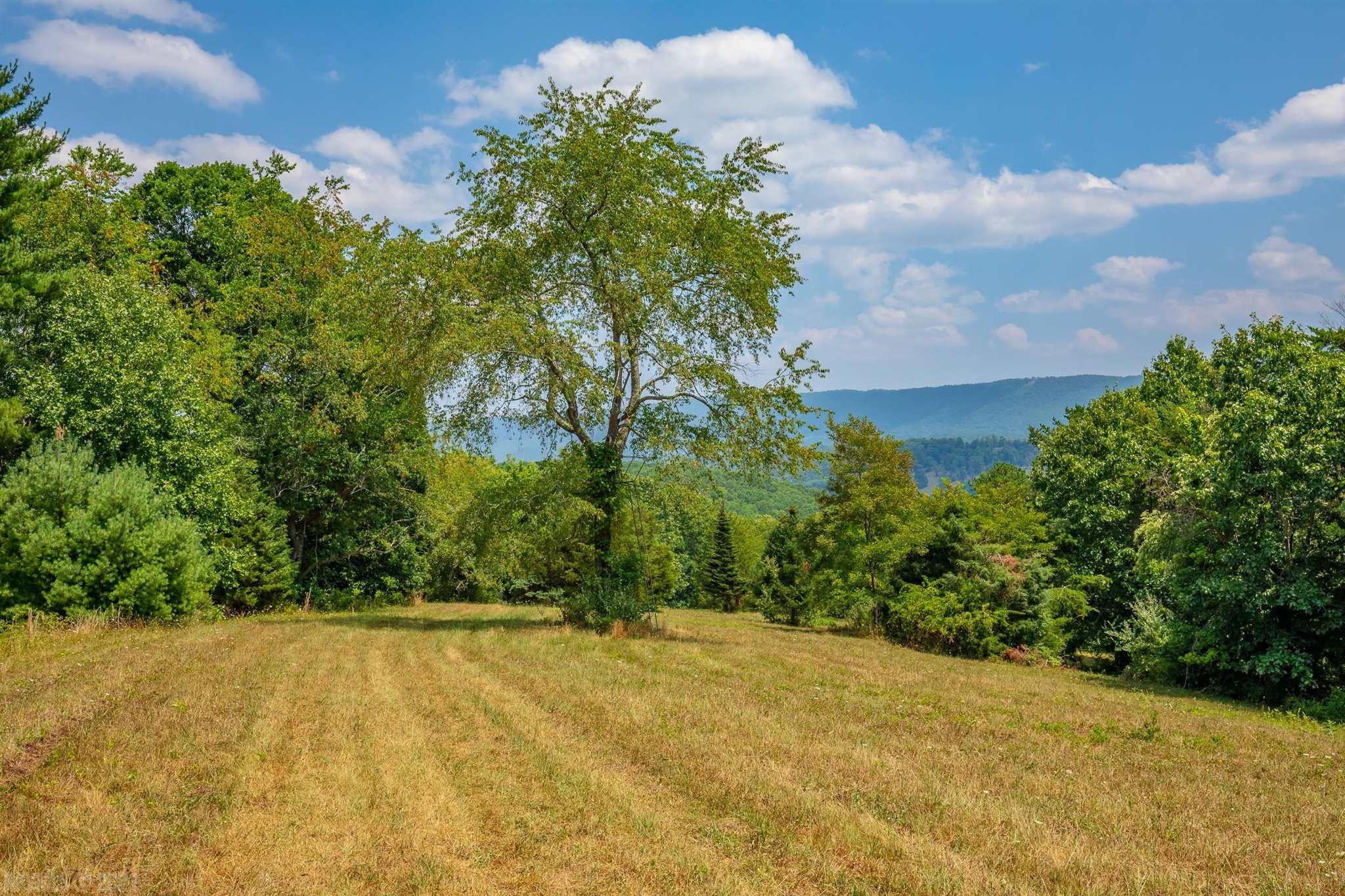 218 Byrnes Chapel Road Bland, VA 24315 - Photo 72 of 83 Gallery Image 72
