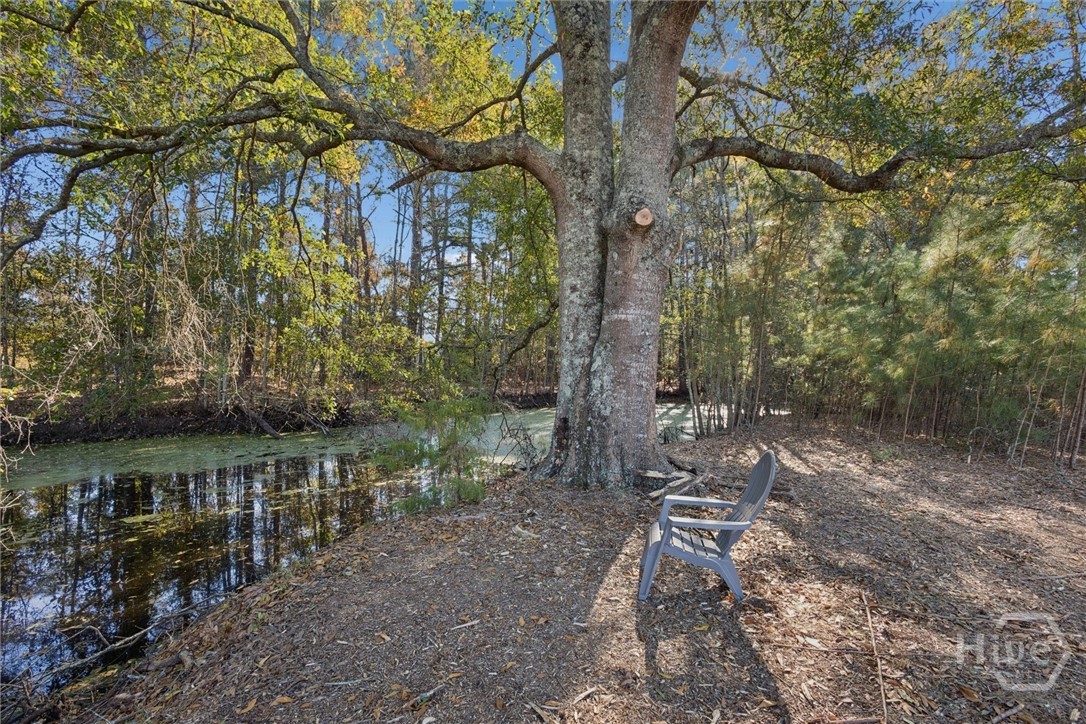 4342 Mud Road Brooklet, GA 30415 - Photo 3 of 50