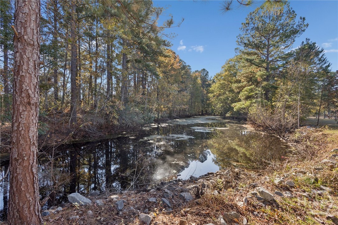 4342 Mud Road Brooklet, GA 30415 - Photo 36 of 50