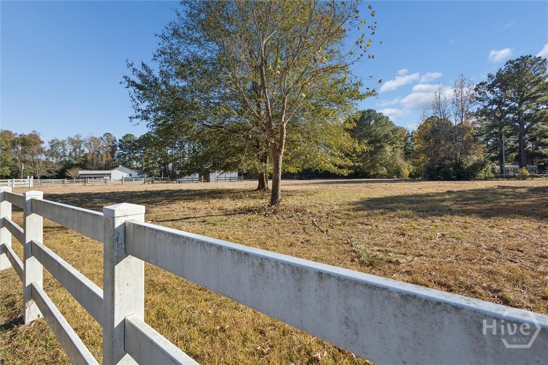 4342 Mud Road Brooklet, GA 30415 - Photo 4 of 50