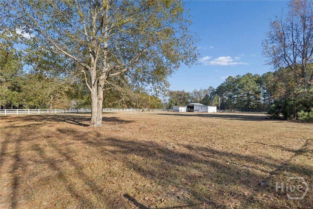 4342 Mud Road Brooklet, GA 30415 - Photo 43 of 50
