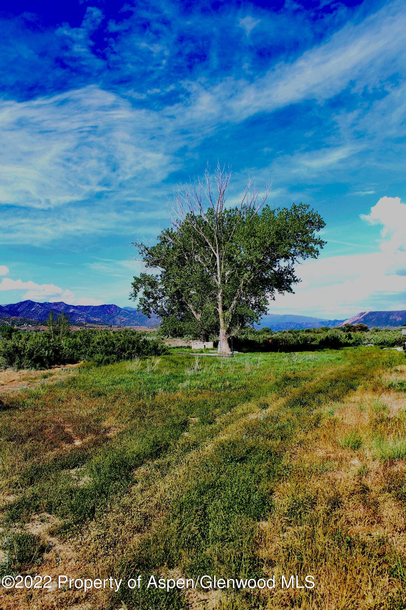 6757 Co Road Silt, CO 81652 - Photo 4 of 7 IMG_4692