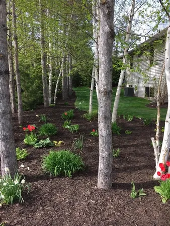 $629,000 | 429 South Pine Grove Lane, Hortonville, WI 54944