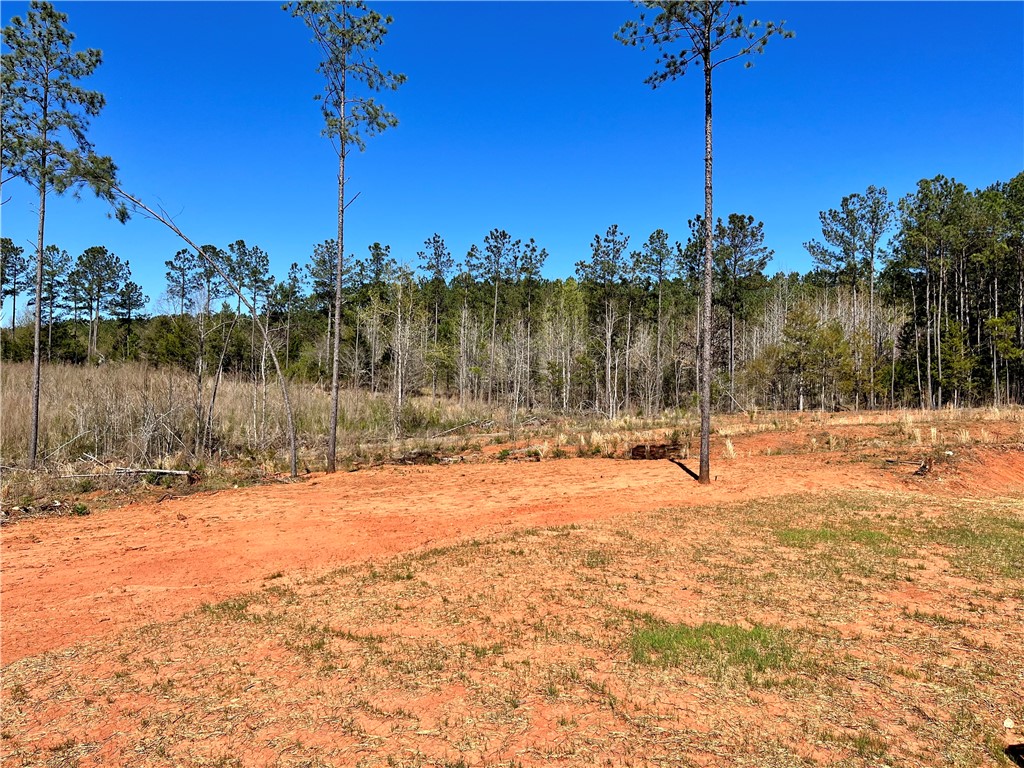 296 Shrine Club Road Waterloo, SC 29384 - Photo 26 of 27 Room to Breathe!