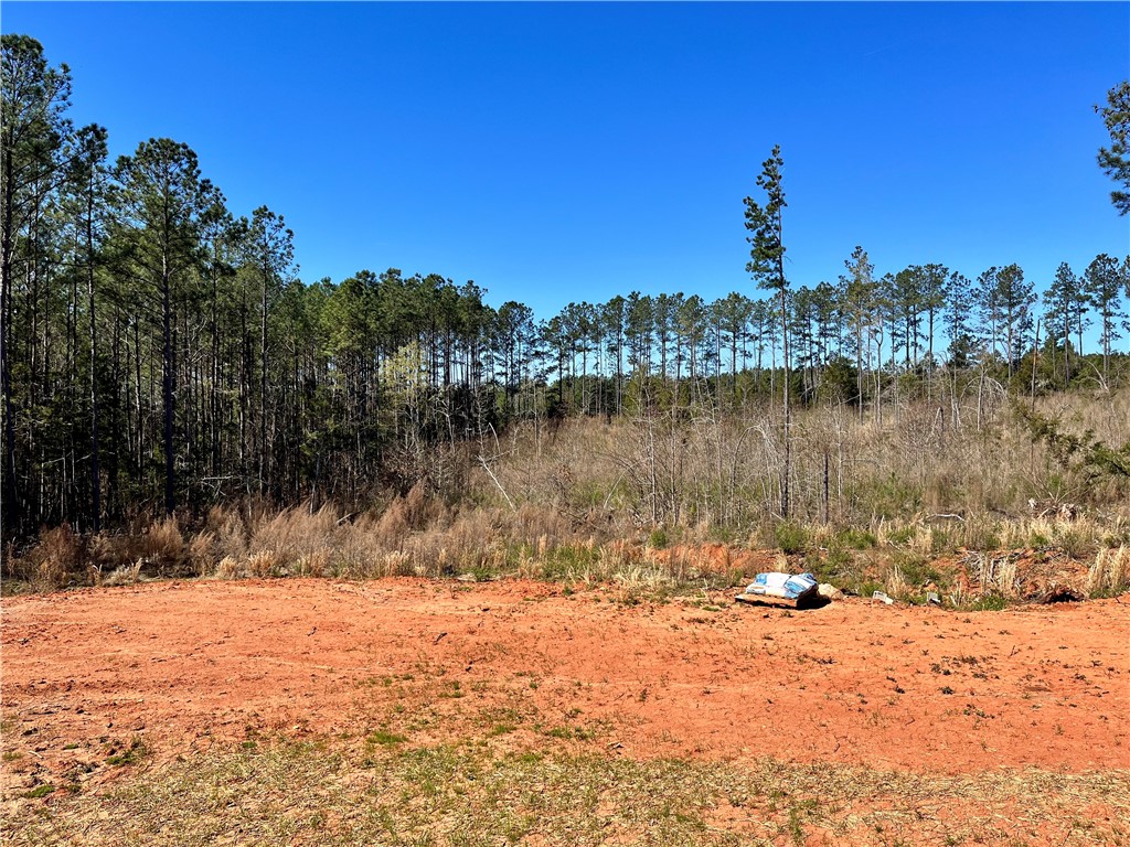 296 Shrine Club Road Waterloo, SC 29384 - Photo 27 of 27 Room to Breathe!
