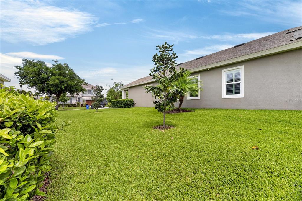 6309 Shadowlake Drive Apollo Beach, FL 33572 - Photo 49 of 64 a front view of house with garden and trees