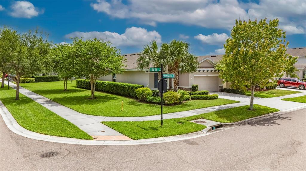 6309 Shadowlake Drive Apollo Beach, FL 33572 - Photo 56 of 64 a view of a fountain in front of a house