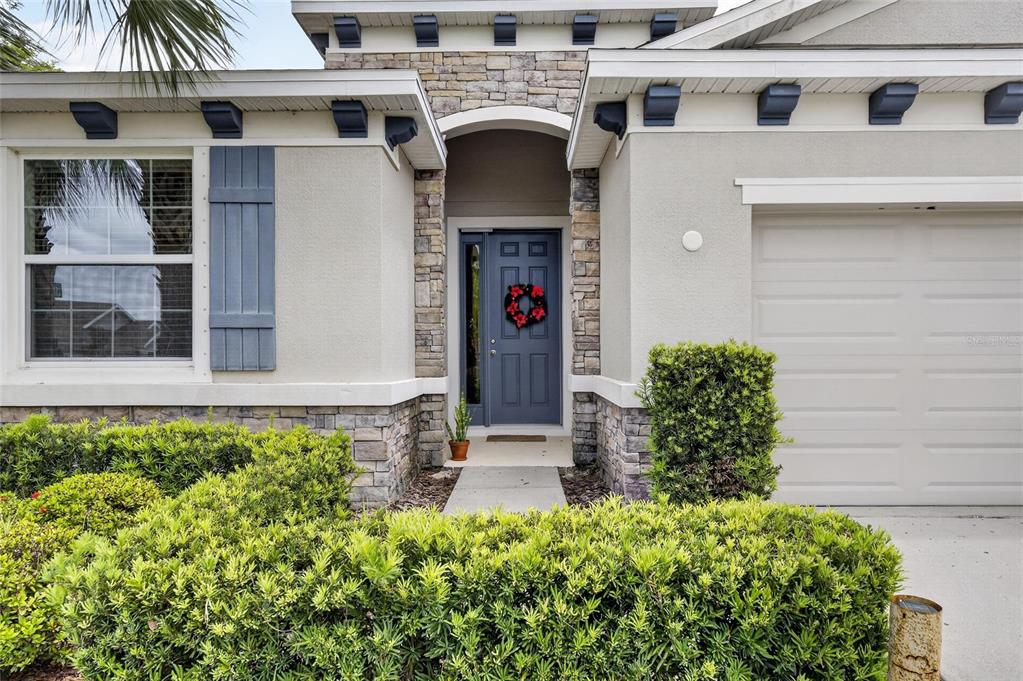 6309 Shadowlake Drive Apollo Beach, FL 33572 - Photo 63 of 64 a front view of a house with plants