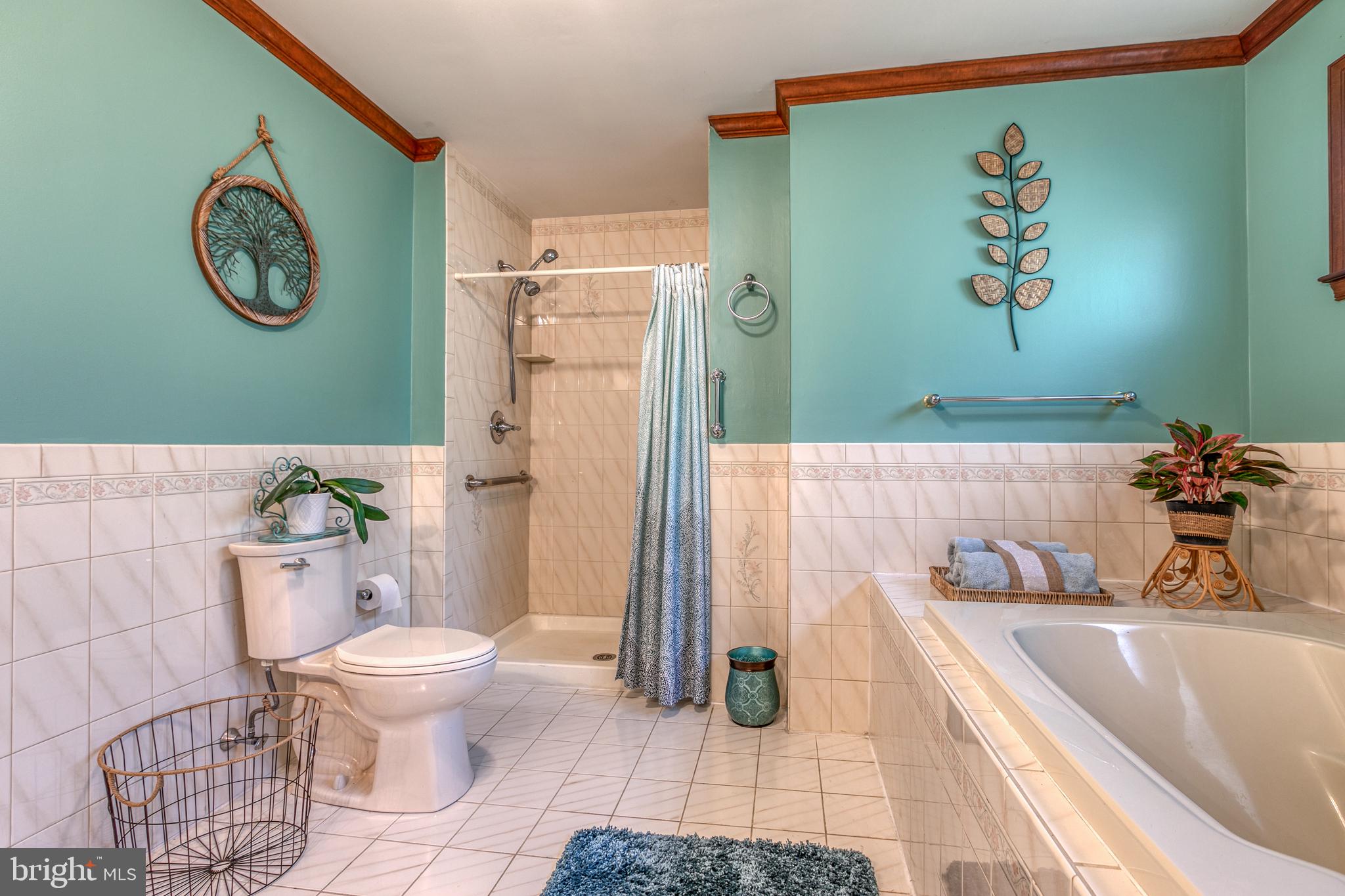 711 Bridgeview Road Feasterville-Trevose, PA 19053 - Photo 24 of 43 Master Full Size Shower